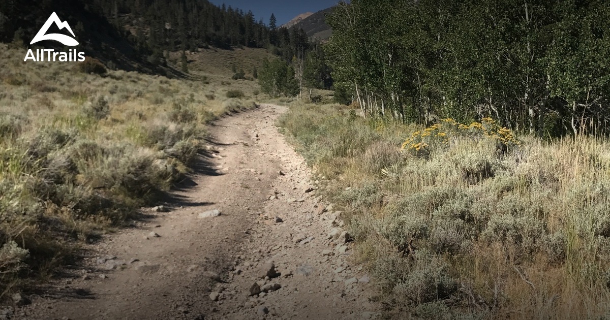 Best hikes and trails in Wellington AllTrails