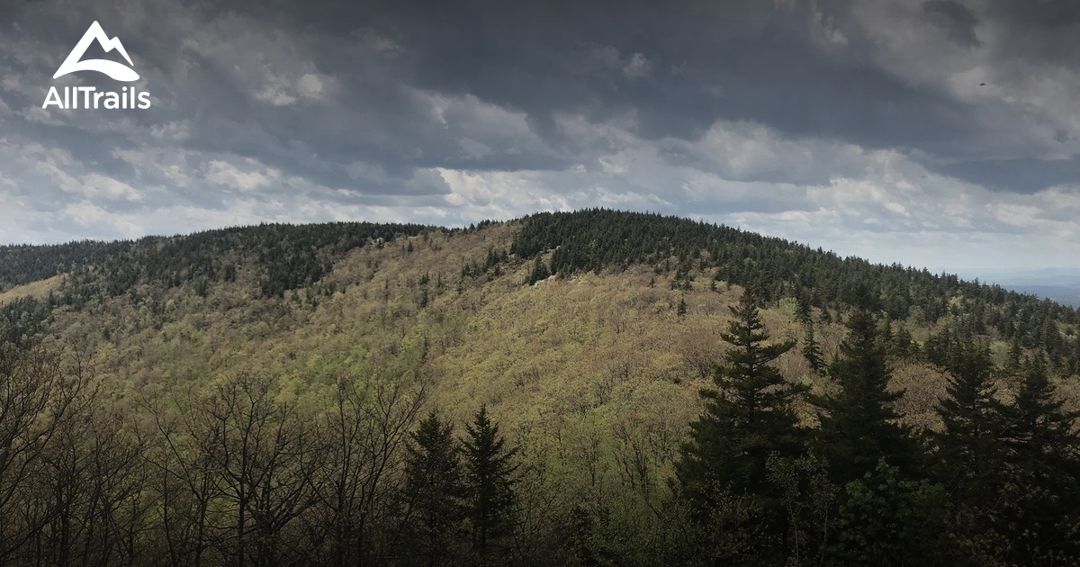 Best hikes and trails in Belmont AllTrails