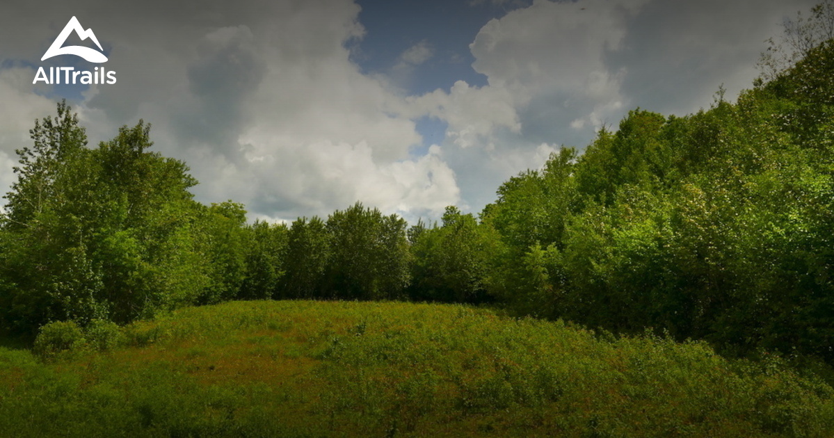 2023 Best River Trails in Clarksville AllTrails