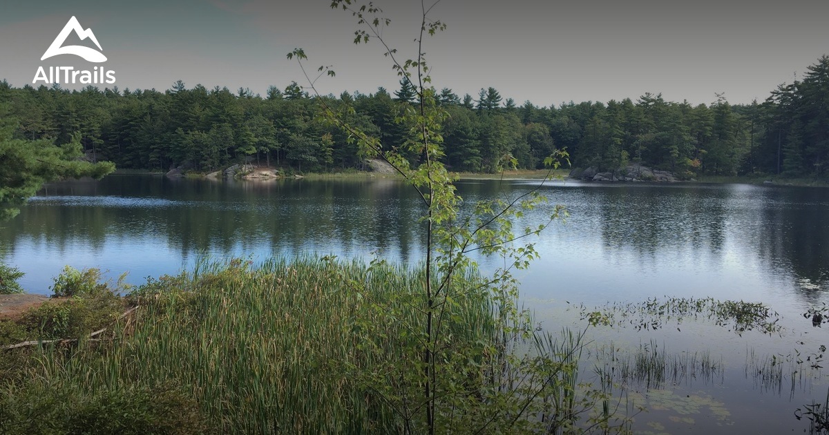 Best Trails near Deerfield, New Hampshire AllTrails