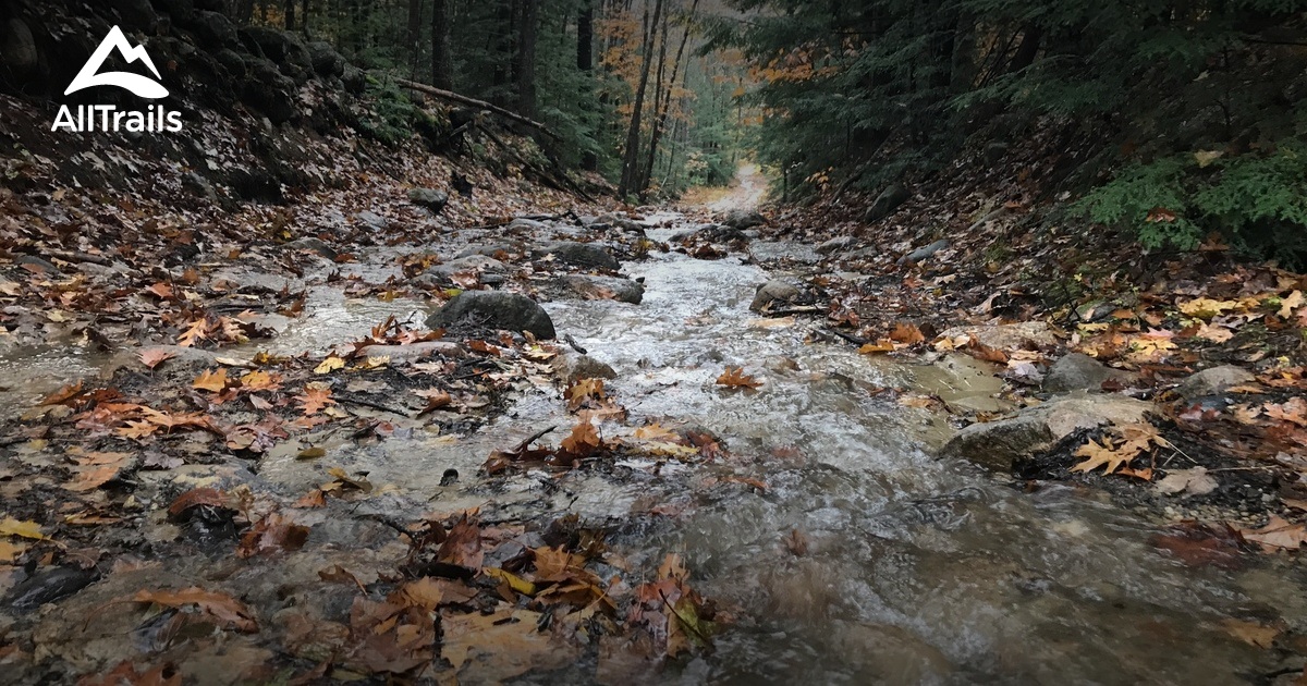 Best walking trails in Fitzwilliam AllTrails