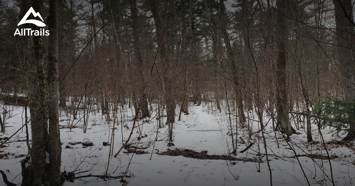 Best hikes and trails in Lee AllTrails