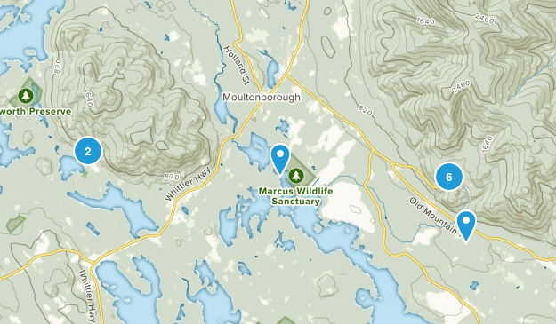 Moultonborough, New Hampshire Map
