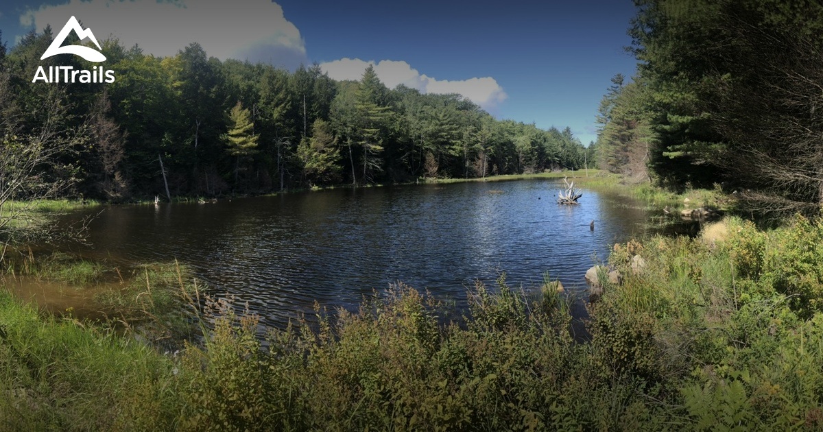 Best hikes and trails in New Durham AllTrails