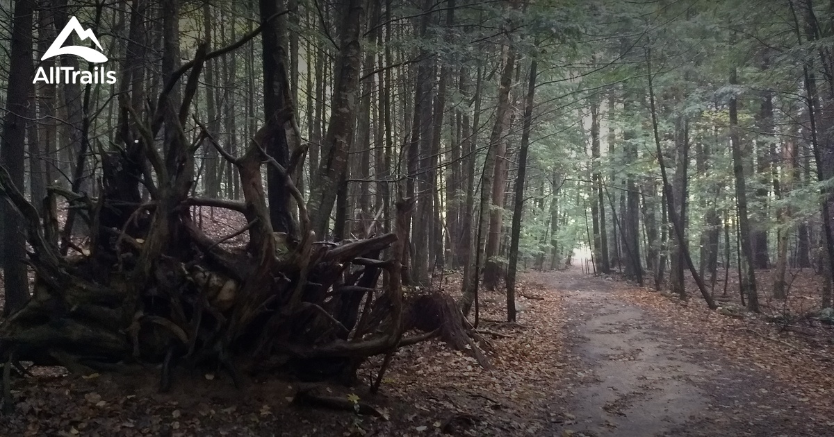 Best Hikes and Trails in Newmarket AllTrails