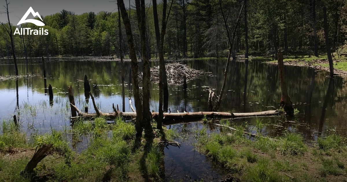 Best Trails near Pelham, New Hampshire AllTrails