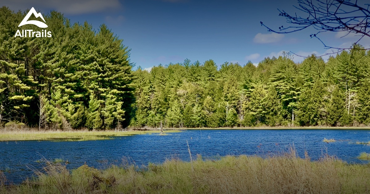 Best trails in weare new hampshire alltrails