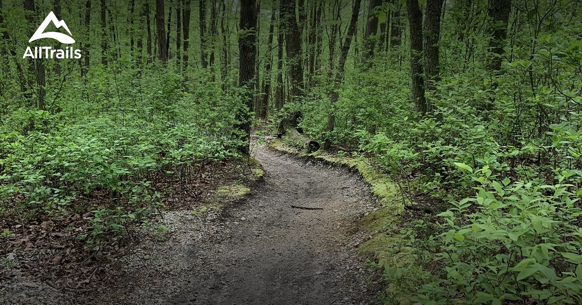 Best hikes and trails in Allenwood AllTrails