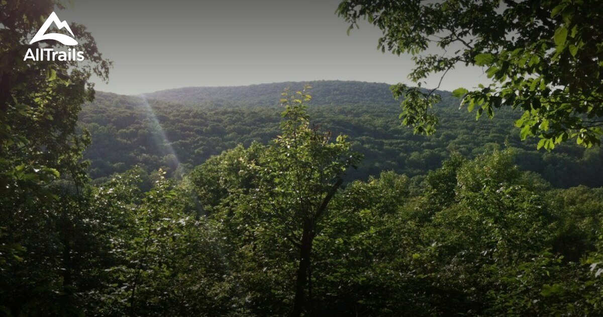 10 Best Trails and Hikes in Byram Township | AllTrails