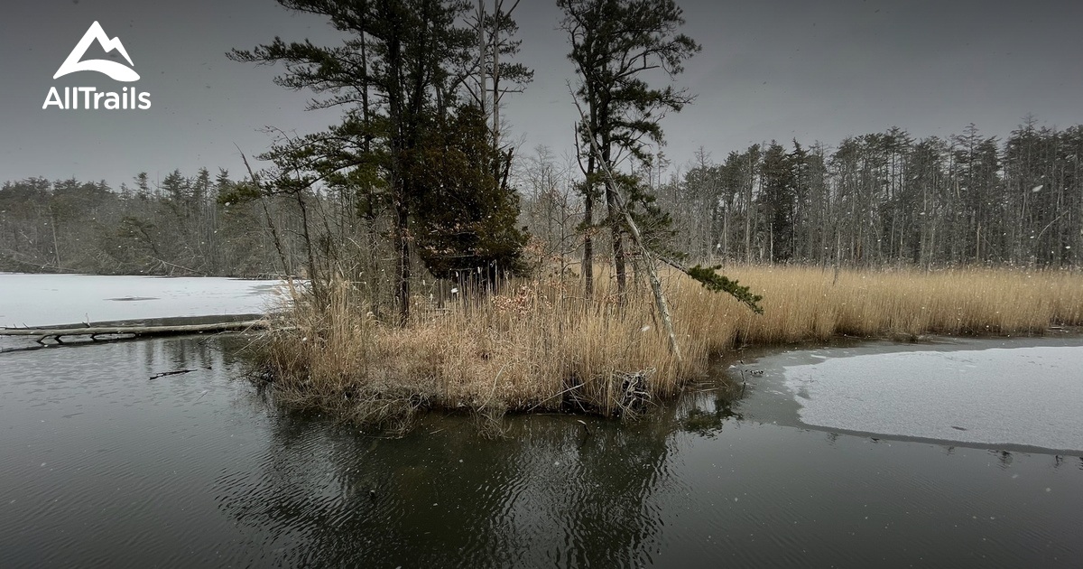 Best hikes and trails in Forked River | AllTrails