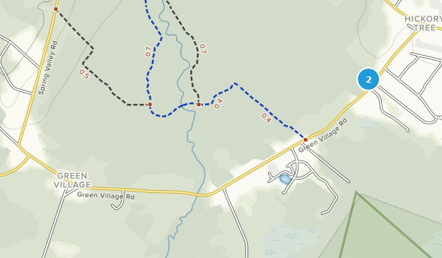 Green Village, New Jersey Map