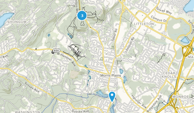Morris Plains, New Jersey Map