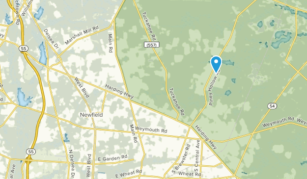 Newfield, New Jersey Map