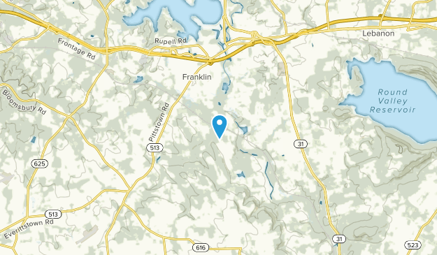 Pittstown, New Jersey Map