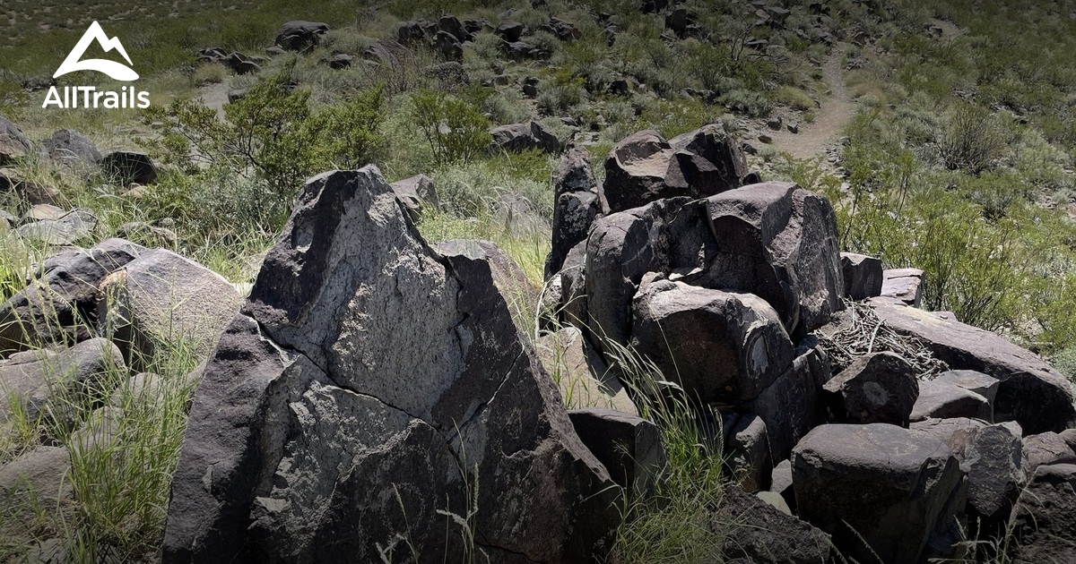 2023 Best Wild Flowers Trails in Bent AllTrails