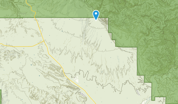 Buckhorn, New Mexico Map