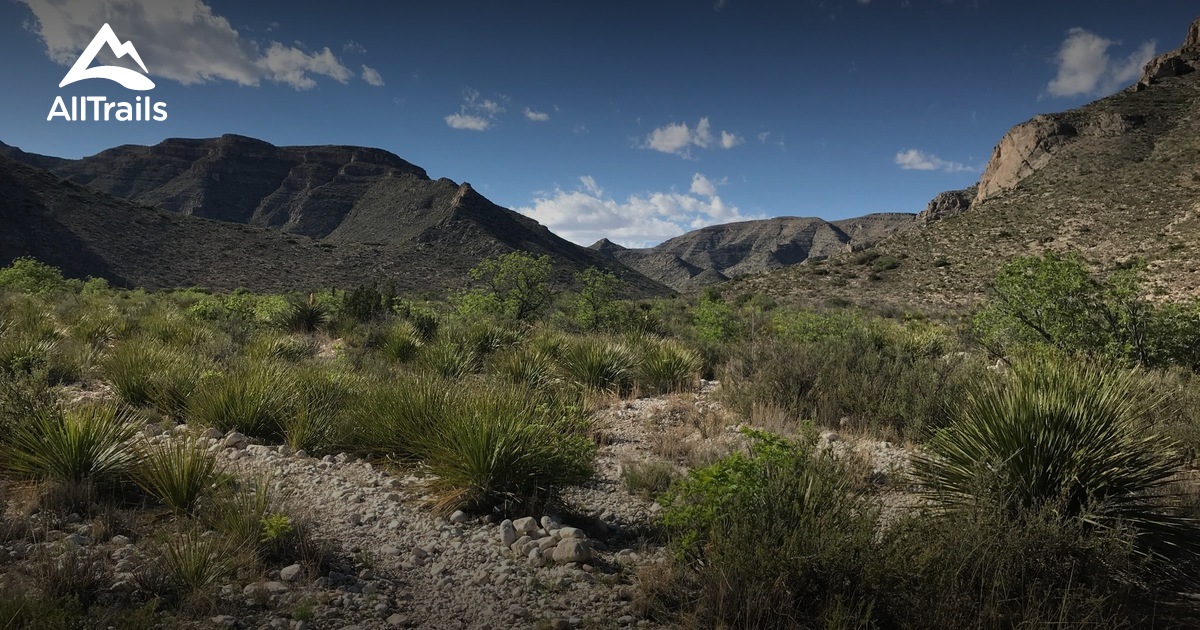 Best Trails near Carlsbad, New Mexico AllTrails
