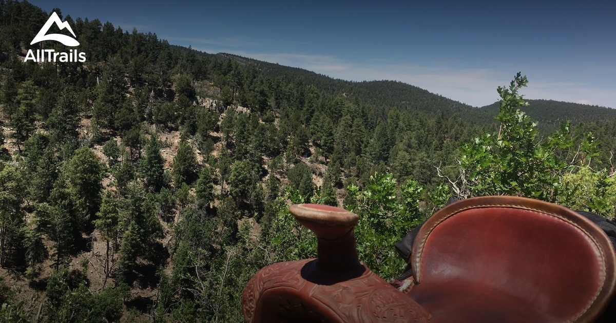 10 Best Long Trails in Cedar Crest AllTrails