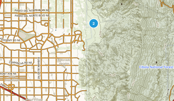 Chelwood Park, New Mexico Map