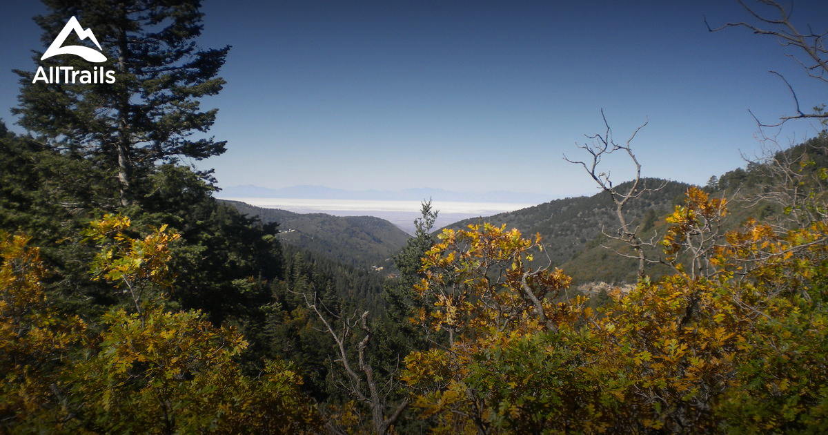 Best Trails near Cloudcroft, New Mexico AllTrails