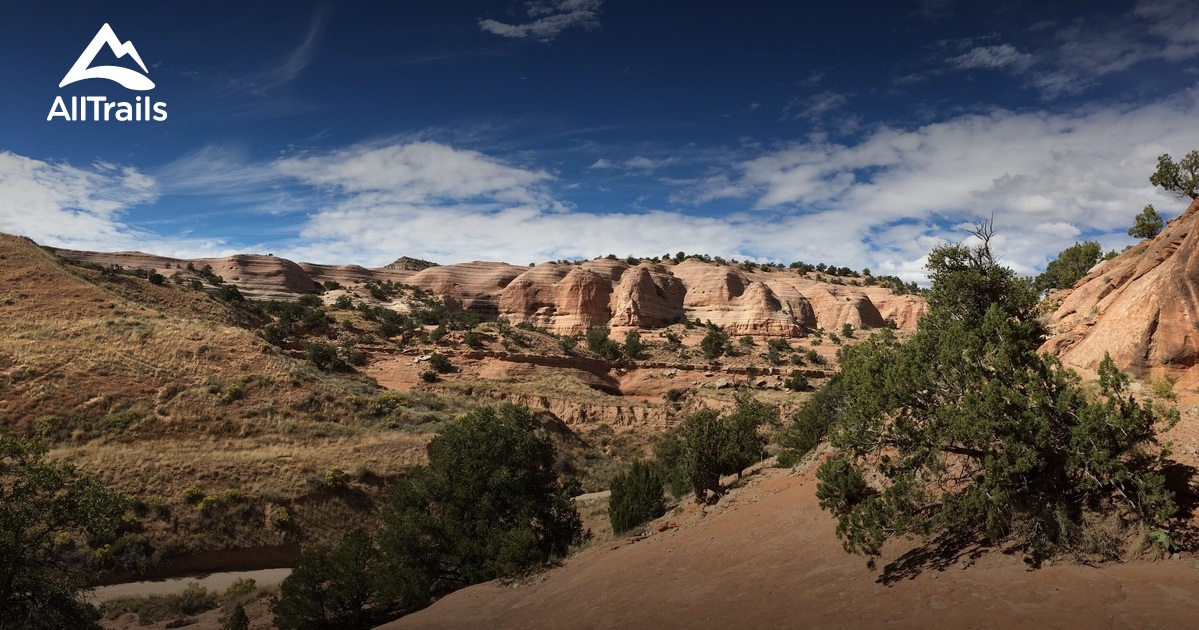 Best Trails near Gallup, New Mexico | AllTrails