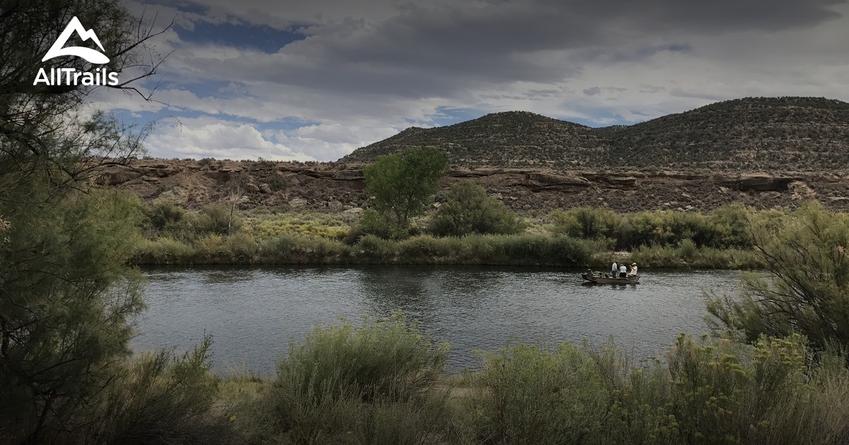 camping near navajo dam new mexico