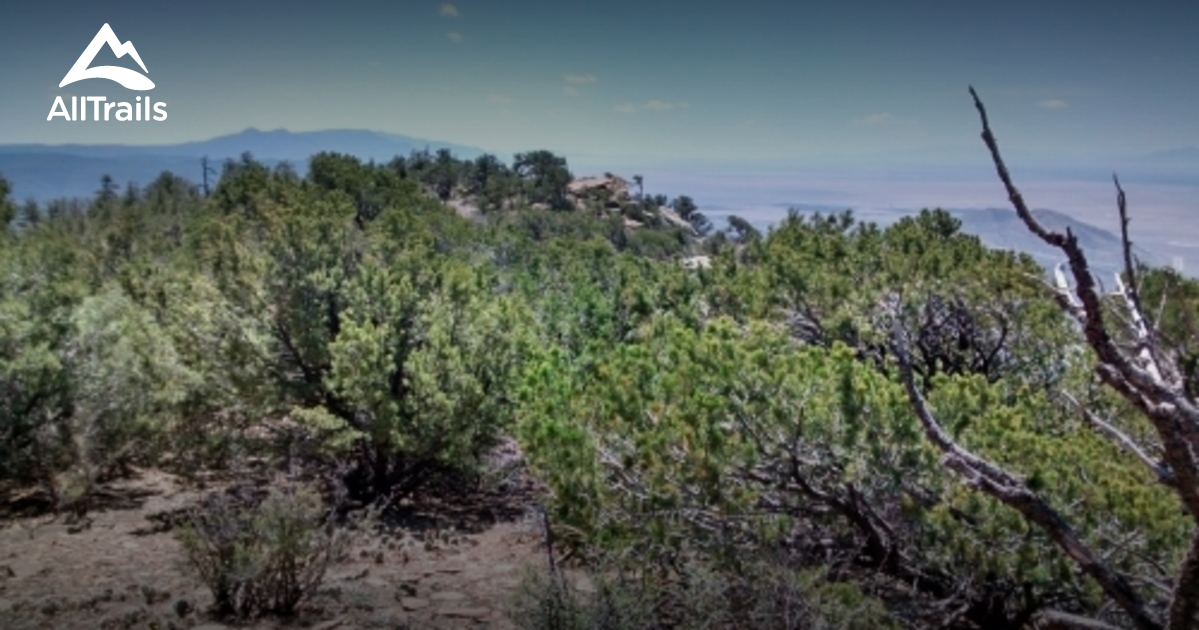 Best Trails near Placitas, New Mexico AllTrails