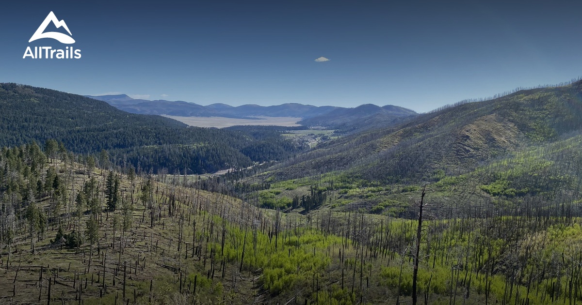 2023 Best Wild Flowers Trails in Ponderosa AllTrails