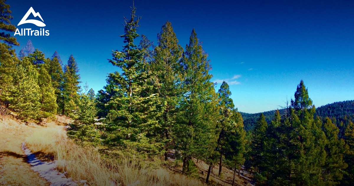 Best hikes and trails in Timberon AllTrails