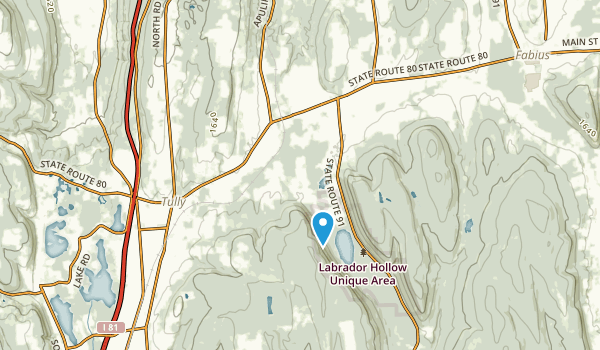 Apulia Station, New York Map