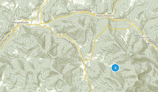 Arkville, État de New York Map