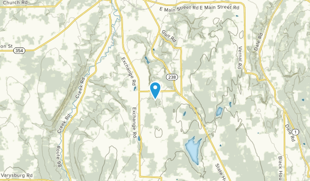 Attica, New York Map