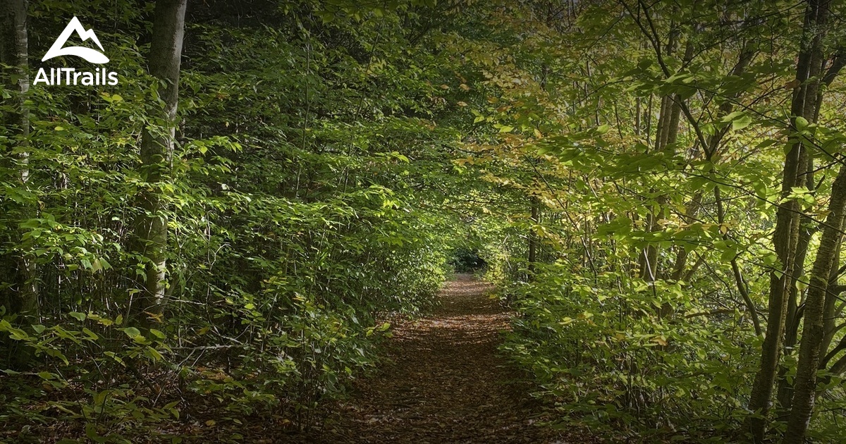 Best hikes and trails in Barneveld AllTrails