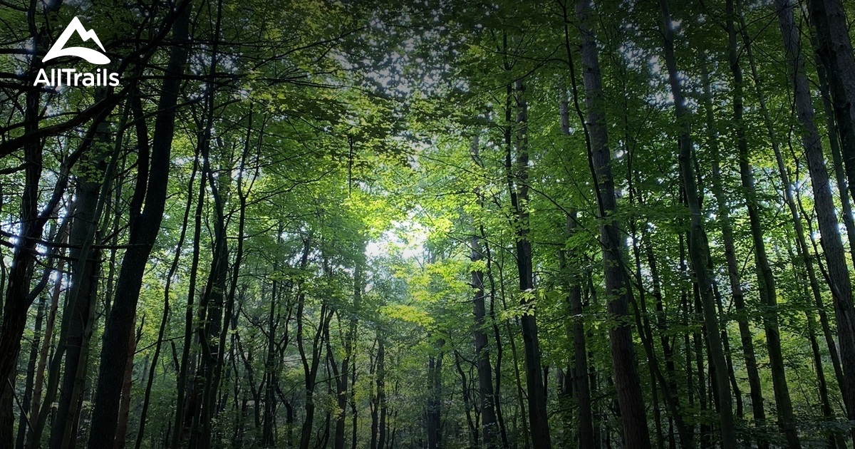 Best forest trails in Belmont AllTrails Best forest trails in Belmont AllTrails