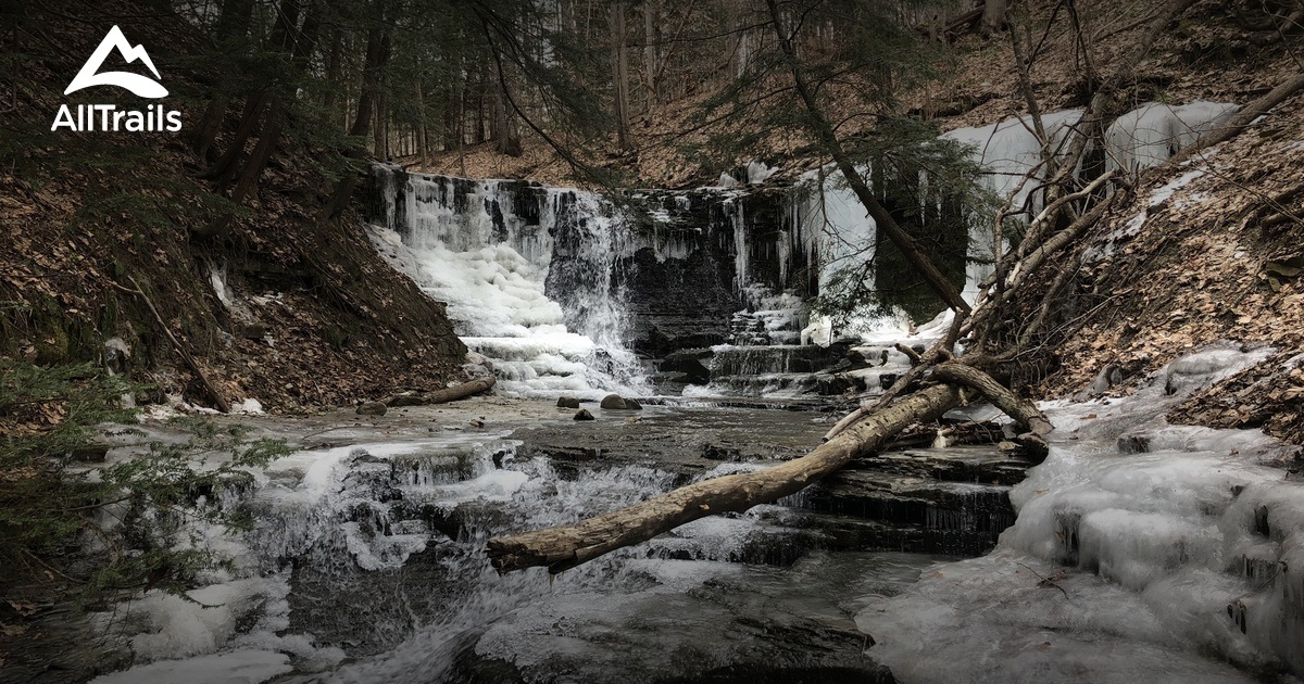 10 Best trails and hikes in Binghamton AllTrails