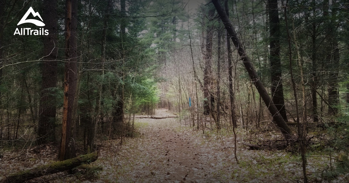 Best hikes and trails in Blossvale AllTrails