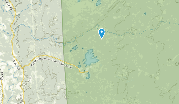 Brantingham, New York Map