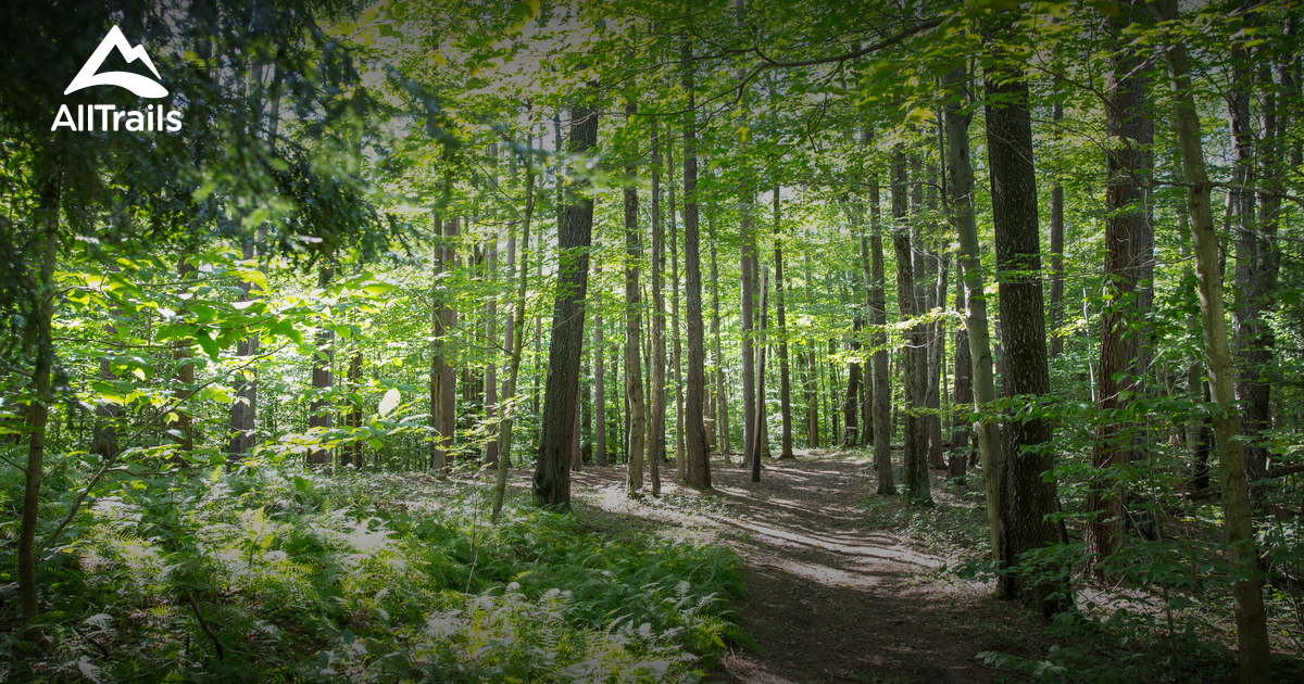 Best Hikes and Trails in Brocton AllTrails