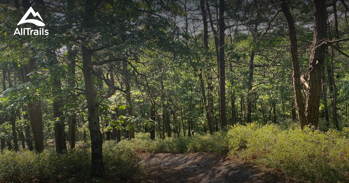 Best hikes and trails in Calverton AllTrails