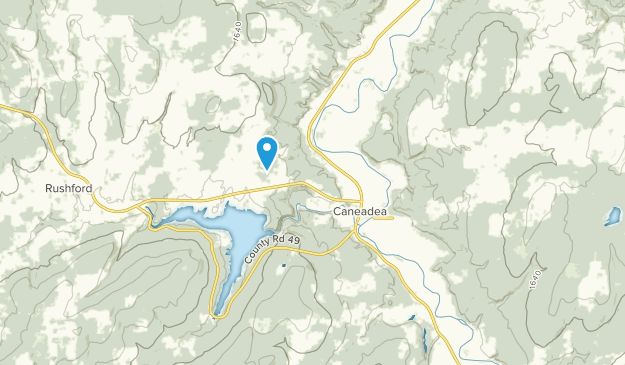 Caneadea, New York Map