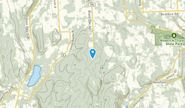 Cayutaville, New York Map