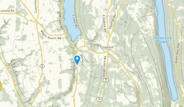 Conesus, New York Map
