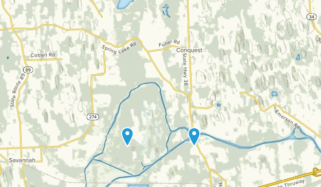 Conquest, New York Map
