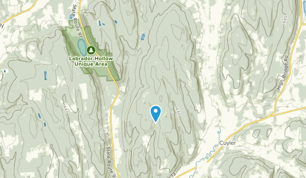 Cuyler, New York Map