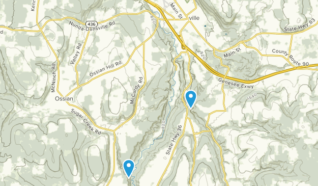 Dansville, New York Map
