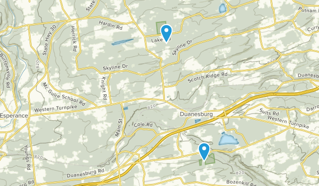 Delanson, New York Map