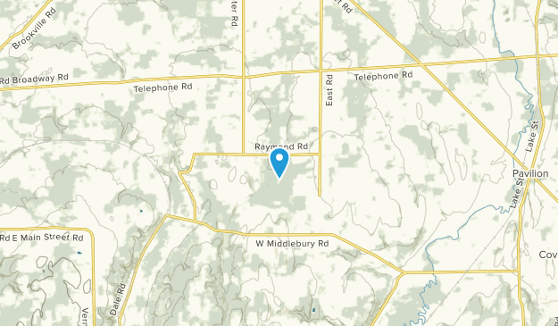 East Bethany, New York Map