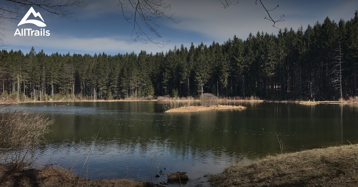 Best Trails near Fabius, New York AllTrails