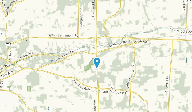 Gasport, État de New York Map