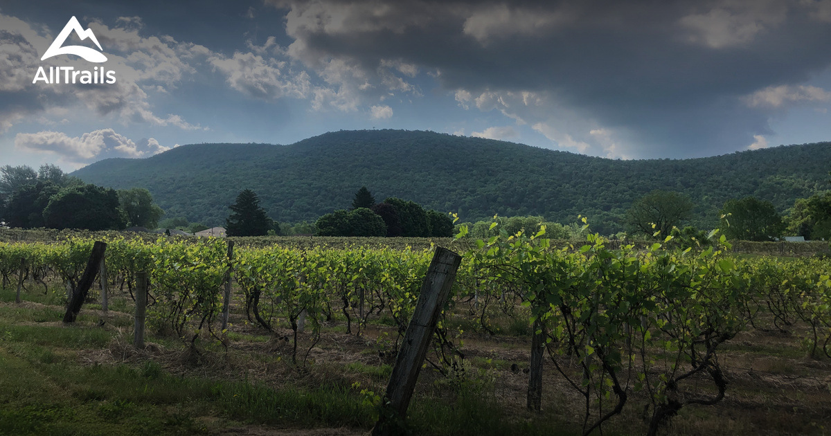 Best hikes and trails in Hammondsport AllTrails